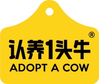 酸奶排名2025！10款熱門款實測，這幾款活菌量百萬級，好喝又健康