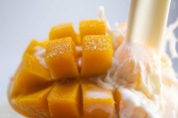 芒果和牛奶同食安全嗎？明確答案來了！解鎖超多神仙吃法