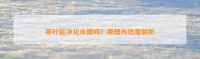 茶葉能凈化水質(zhì)嗎？原理與效果解析