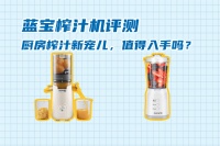 藍(lán)寶榨汁機(jī)全面評測：廚房榨汁新寵，是否值得購買？