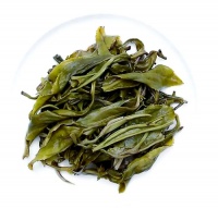 茶葉渣的驚人妙用：讓你的生活更加便捷