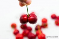 櫻桃成為關(guān)注對象！醫(yī)生：常吃櫻桃，不出1個(gè)月，身體或有3大改善