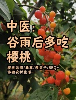 余杭櫻桃采摘：健康又樂趣