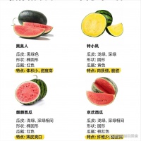 夏天狂炫西瓜會變胖？關于西瓜的 3 個 “減肥誤區(qū)”，很多人都中招了