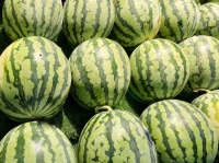 吃西瓜的5個(gè)誤區(qū)，很多人都吃錯(cuò)了，為了家人的健康，不妨看一看