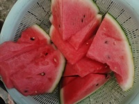 甜王西瓜熱量揭秘：每100克僅30千卡，低卡解暑的優(yōu)質(zhì)夏季水果