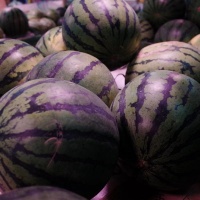 西瓜适合减肥的人吃吗