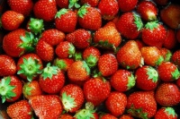 春季必吃養(yǎng)生水果草莓：抗炎護(hù)眼還補(bǔ)血，吃法不對(duì)白花錢