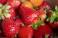 晚上吃草莓有什么好處