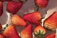 草莓有什么營養(yǎng)和作用