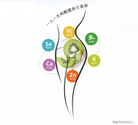 綠色水果獼猴桃燃脂減肥效果之佳品