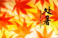 處暑將至，記得多吃這6種水果，鮮美多汁口感好，補充營養(yǎng)去秋燥