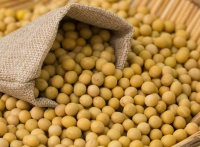 減重期別再“避豆如雷”！科學(xué)吃法解鎖天然燃脂密碼