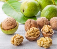 核桃分心木是涼性還是熱性？從中醫(yī)食療角度解析其屬性與營(yíng)養(yǎng)價(jià)值