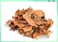 分心木助眠茶：守護老年睡眠的天然良方