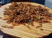 泡分心木總沒(méi)效果，選對(duì)方法才是關(guān)鍵，你真的用對(duì)泡水技巧了嗎？