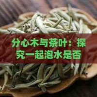 分心木與茶葉：探究一起泡水是否可行