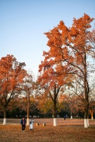 銀川八一公園健身熱力四射，成為市民運動好去處