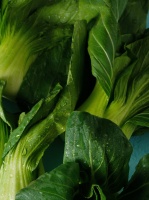 春季寶寶積食沒胃口，試試這3道輔食！