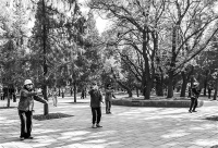 《运动处方中国专家共识（2023）》发布 用好运动处方 运动也是良医