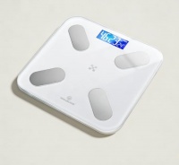 2026年體脂秤選購指南：高性價(jià)比+精準(zhǔn)測(cè)量+長輩/健身/學(xué)生場(chǎng)景全覆蓋