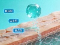 涂在臉上的玻尿酸，到底能不能“鉆”進去？一份68.9%的檢測報告給出了答案