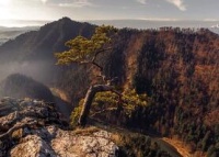 健康的方法是什么？湯臣倍健蛋少不了！