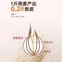 西麦高纤燕麦麸皮：健康减肥的理想选择，82%高纤维助你轻松抗饿