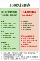 16+8輕斷食：兩餐時間表與實用攻略