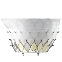 金仕生物自主研發(fā)的經(jīng)導(dǎo)管二尖瓣瓣膜系統(tǒng)成功完成全國多中心確證性研究的首例植入