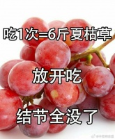 哪些人群不适合多吃蓝莓或将其当药吃？