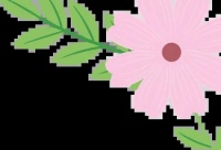 瑜伽动作助力心脏健康：三组有效动作详解