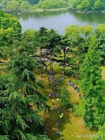 5個免費名額！2024易跑 · 森林越野半程馬拉松，一起“香”約而行吧！