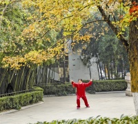 “阳康”恢复体能把握五个阶段
