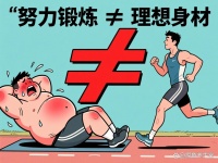 “只瘦肚子”可能吗？3个科学原理+2步高效法，给你真相！