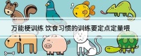 万能梗训练 饮食习惯的训练要定点定量喂