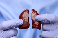 從飲食到運(yùn)動(dòng)：生活方式醫(yī)學(xué)在肝病管理中的革命性應(yīng)用