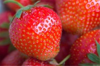 由草莓擔(dān)任主角的10款簡單甜點食譜