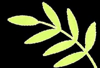 暑假護眼指南：如何讓孩子健康使用電子產(chǎn)品