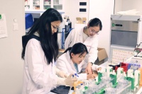 青年科创破题脑胶质瘤预后！昆明医科大学 “胶预先锋” 团队自研AI平台 精准助力胶质瘤预后评估