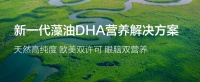 第一份“母爱”的入场券：从备孕开始，送给宝宝的成长之礼