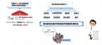 “控糖”失灵后，胰岛素抵抗的破局之路怎么走？