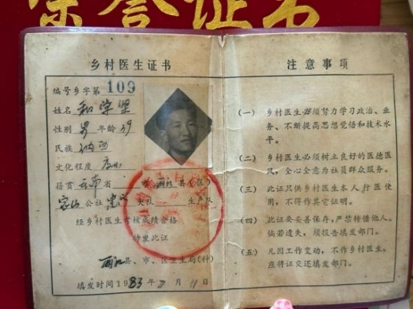智塑未来, 山林里的医药：纳西东巴文化中的生命智慧