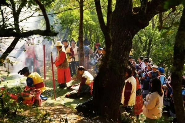 智塑未来, 山林里的医药：纳西东巴文化中的生命智慧