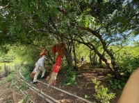 山林里的医药：纳西东巴文化中的生命智慧