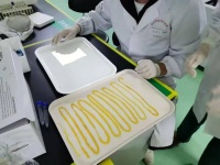 4.5米长虫从男子体内排出，医生：因长期食用生鱼片，感染阔节裂头绦虫