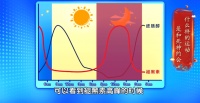 睡觉时1个习惯，可能破坏免疫系统，增加癌症风险，危害远比想象中大