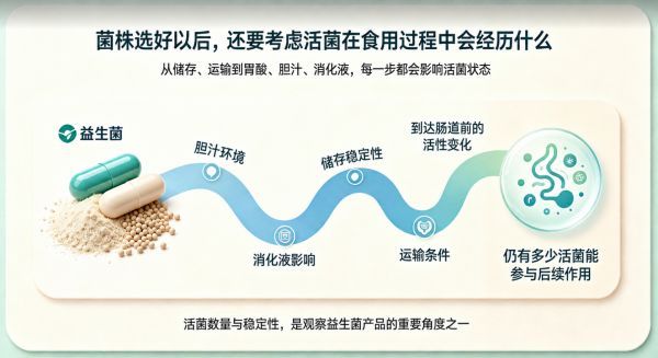 益生菌与女性周期健康:一组值得关注的科学线索 - 配图3(健康)