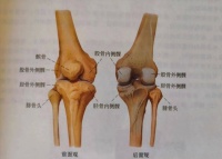 走路时膝盖突然一“软”，是腿出问题了？专家解答……