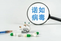 诺如病毒进入高发期！该如何应对？转给师生家长